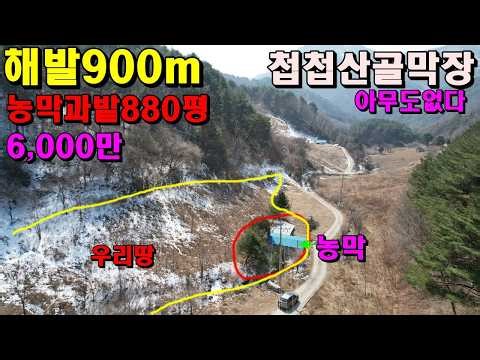 (Yeongwol) 900m above sea level, a mountainous area with a shack and 880 pyeong of land/60 millio...