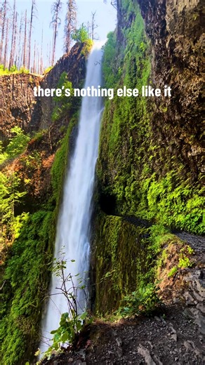 Tunnel Falls…. I dont have the words to explain how it feels to see it for the first time. It is so much more magical than you can prepare for. Such a force of nature 🌲⛰️ #oregon #pnwonderland #natureisbeautiful #summervibes #pnwlife #pnwhikes #tunnelfalls #columbiarivergorge #granolagirl #hikertok