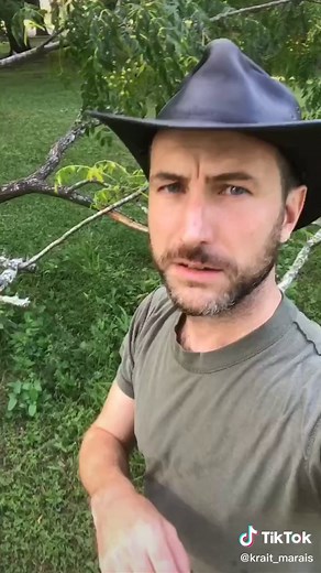 Krait_Marais on TikTok