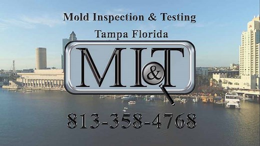 Mold Inspection & Testing Tampa Florida