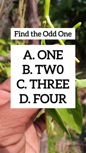 Find the Odd One | Visual Logic Challenge | Ep.2622 #brainteaser