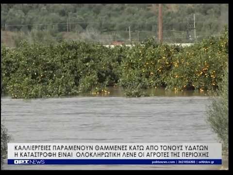 Αλφειός: "Βυθισμένες" καλλιέργειες στις παρόχθιες περιοχές