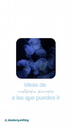 -holaaa, aca traigo rd a las q puedes ir #blueberry #blue #shiftingcommunity #shiftingcontent #shifting #shifter #rd #fyp #parati #viral