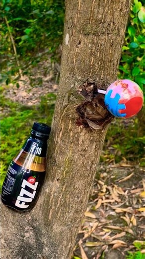 Satisfying Candy & Chocolate Birthday 🎂 ASMR Relaxing Sounds #shortsvideo #shortsfeed #ytshorts