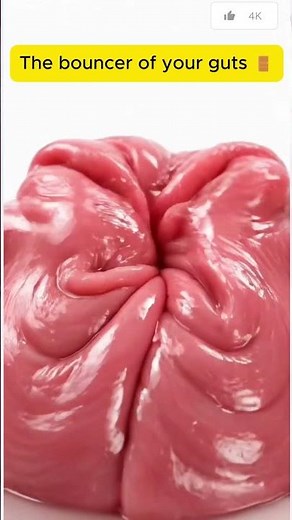 The secret door inside your stomach 🚪🤢