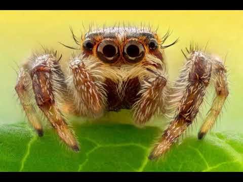 Grade 7 Unit 2 Listening Quiz 5