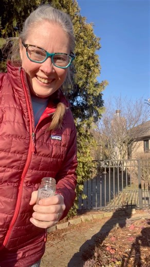 Poppy seed planting days. Congratulations to all the poppy seed winners. If you don’t have your seeds yet, you will soon. So here is a review of how to plant your poppy seeds. Once they start growing, I will share how to thin, harvest for seed, and store them for the winter. You can enjoy bountiful poppy seed harvesting for years to come. #mythymegardens #migardenartist🌱 #gardencoach #gardencoachmacomb #perennialsforpollinators #perennialgardencoach #perennialgardener #plantingforpollinators🐝 