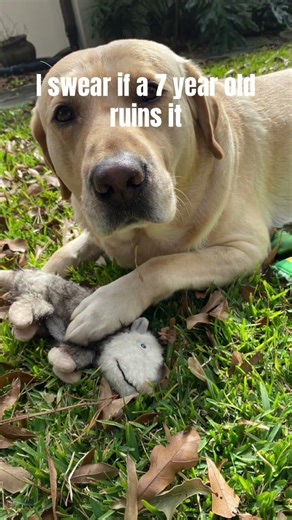 Can we do it?#funny#meme