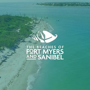 86K views · 7.5K reactions | Happy National Dolphin Day! To celebrate, check out these fun facts about the speedy creatures that inhabit our waters. | Visit Fort Myers | Facebook