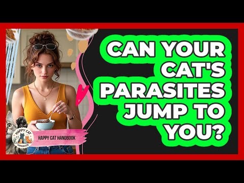 Can Your Cat's Parasites Jump To You? - Happy Cat Handbook