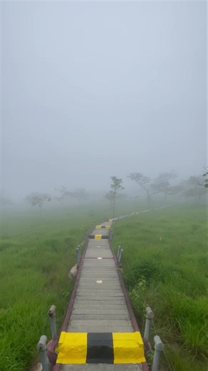 24K views · 739 reactions | ️ 11 มิถุนายน 2568...