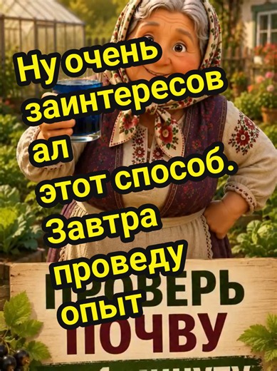 А вы знали, что кислотность почвы можно проверить без всяких приборов? 🌱 Для этого понадобятся всего несколько листочков смородины, кипяток и немного земли с вашей грядки. 🔴 Покраснел настой — почва кислая 🟢 Стал зеленоватым — слабокислая 🔵 Получился синий цвет — почва нейтральная и отлично подходит для большинства культур Простой дачный способ, которым пользовались ещё наши бабушки 😊 Сохраняйте, чтобы не потерять, и отправляйте друзьям-огородникам! #дача #огород #сад #садоводство #огородни