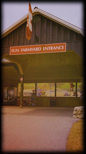 Everbody's favourite Fun Farmyard is open for just one more week! 🎃 Play, run, jump and explore - right up 'til October 31. Crank up the antique tractors, visit the farm animals, and dig all day in our giant sandbox. Don't forget the pedal tractors, escarpment lookout, or the great big tube slides! Be sure to take the wagon ride for the most spectacular autumn views out over the farm. Come celebrate our final Harvest Weekend of Farmyard fun for 2025! 9-5 daily. Barn Market / Bakery open daily '