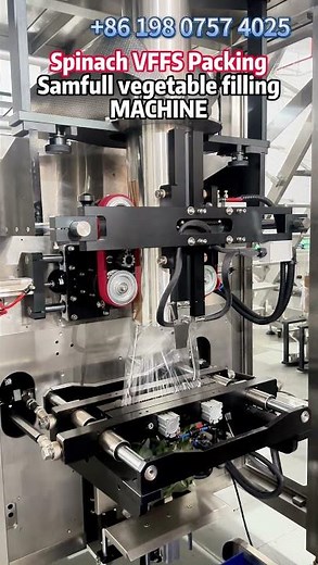 Fully Automatic Spinach VFFS Packing Machine 100g to 500g | Vertical Packing Machine