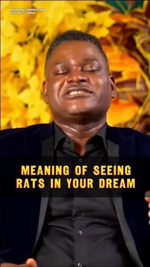 Meaning of Seeing Rats in Your Dream #dreammeaning #dreamsandinterpretations