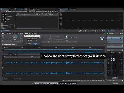 Changing Sample Rate in Wavelab