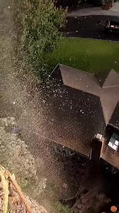 Timber in motion, progress in sight 🪓 #lumberjack #treechopping #chainsaw #asmr #satisfying #trees #logchopper | Guilty of treeson