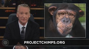 464K views · 2.5K shares | Please help support these beautiful...