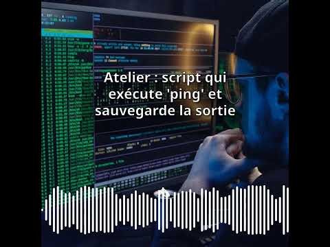 Atelier : script qui exécute 'ping' et sauvegarde la sortie | Expert CyberSecurité & DevSecOps :...