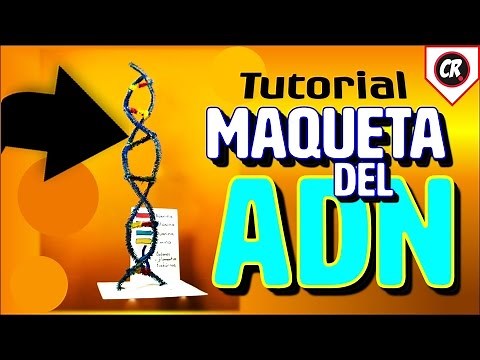MAQUETA DEL ADN | Tutorial paso a paso