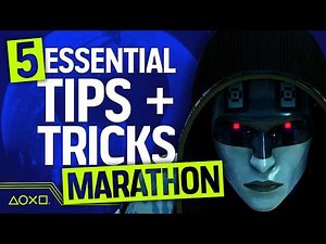 5 Essential Marathon Tips and Tricks That Change The Game