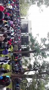 15K views · 256 reactions | University of Zimbabwe students are demonstrating and calling for the recall of Grace Mugabe's degree. They say they will not write exams until Robert Mugabe steps down. | Zimbabwe Today | Facebook