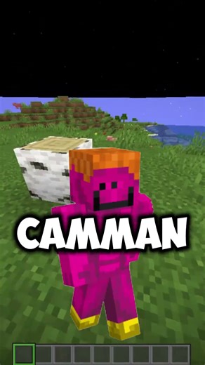 What is the most hated block in Minecraft | Support for Birch