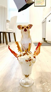 128K views · 65 reactions | Dog VS temptation... His reaction to the last item... Please be advised that this page publishes videos that are intended for entertainment purposes only. This includes scripted dramas, satires, parodies, and magic tricks. Thank you for watching. | Mr Amazing | Facebook