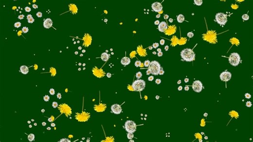 Model, Pretty, Girl, Beautiful