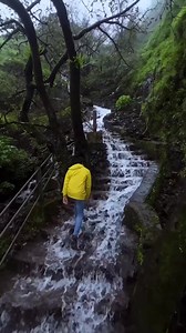 5M views · 173K reactions | Ankit Bhatia Films on Reels | Facebook