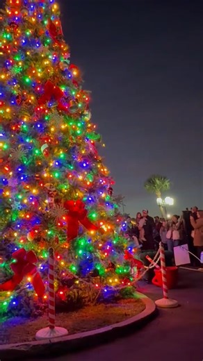 14K views · 285 reactions | Fernandina Beach Mayor James Antun leads the countdown in the lighting of the Christmas tree Friday evening at the Downtown Harbor Marina. Happy Holidays! For coverage of the event, pick up a copy of the News-Leader next Wednesday, Dec. 3. -----  To subscribe and never miss an edition, visit fbnewsleader.com or call 904-261-3696. | News-Leader | Facebook