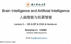 【BI&AI】Lecture 3 - GD & BP & CNN & Hands-on