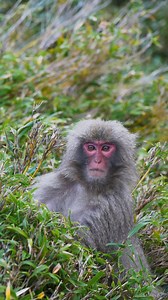 Dance, Group, Music, Fitness