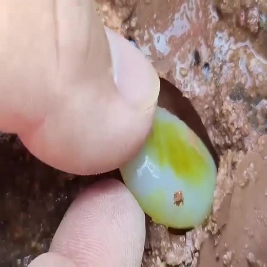 5.8K views · 53 reactions | After the rain, gems appear on the rocks | WOW | Facebook