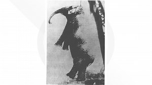 The hanging of Mary the elephant: TN town wrestles with legacy of circus animal's death