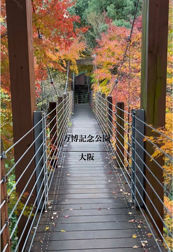 すぐ近くにビルが立ち並ぶ大阪府吹田市にある万博記念公園 そこには絶景が広がっていた、、 #万博記念公園 #紅葉 #自然 #自然界隈 #おすすめ #絶景 #絶景スポット #都会のオアシス #日本 #japan #大阪