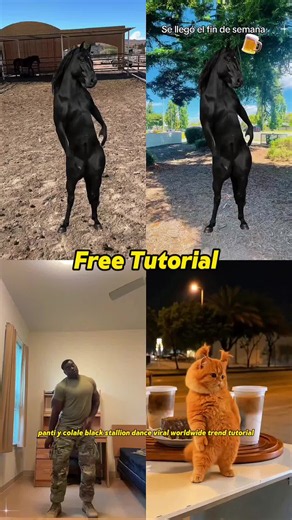 panti y colale black stallion dance viral worldwide trend tutorial black stallion panti y colale dance trend tutorial use this capcut template to make the viral video of the black stallion dancing to the beat of panti y colale. you just need to use green screen footage and edit effortlessly with ai. find all chatgpt and gemini prompts to recreate this viral effect and impress your followers. #capcut #capcutpioneer #stalliondancetrend #greenscreeneffect #latintrendtutorial tutorial de la tendenci