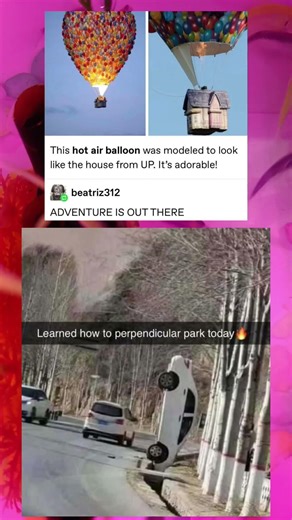 This Creative Hot Air Balloon Design | You Finally Learn Parking But Make It a Funny Viral Moment