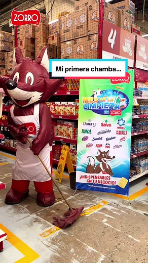 Pobre Zorrito y su primera chamba: una historia de promociones