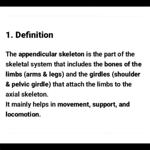 Appendicular Skeleton – Important Notes for MPHW/Nursing Exams