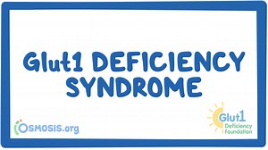 Glut1 deficiency syndrome (Glut1 Deficiency Foundation): Video, Causes, & Meaning | Osmosis