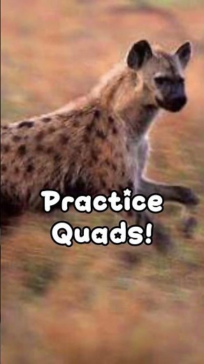 Things To Do As A Therian When You’re Bored #therian #therianthropy #theriangear #quadrobics