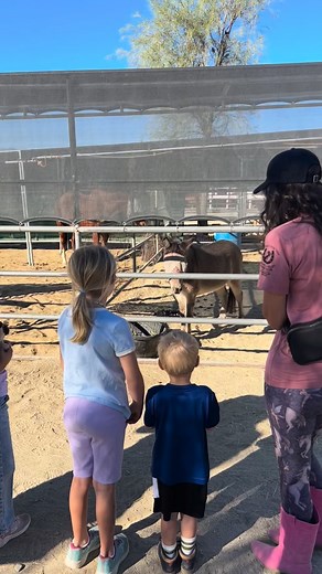 19 reactions · 5 comments | Our literacy kids program this morning   Fun time with this crew reading and creating with the rescue horses. Thank you for joining us  Email horsetales@cvhorsrescue.org to make your appt and have an experience! #cvhr #cvhorserescue | Coachella Valley Horse Rescue | Facebook