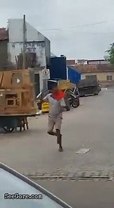 Man with knife defeated by a cocounut - SeeGore