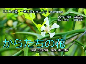 からたちの花 （歌詞字幕付き） ソプラノ独唱 山口ユミ
