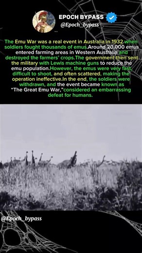 The Emu War was a real event in Australia in 1932 #cumbia