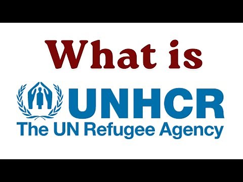 WHAT IS UNHCR?