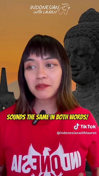 Understanding the Phonetic Nature of the Indonesian Language