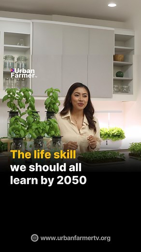 Urban Farmer TV on Instagram: "Our current food system is broken. Most of our food comes from profit-driven industrial farms that use: - 4B tons of pesticides☠️ - 12B kilograms of plastics every year to grow and deliver our food. These pollutants find their way into our oceans🐢 and even our bodies🤒 By 2050, there will be nearly 10B people on Earth. To feed the world, we will need: - 56% more food, which means more pesticide, plastic, and greenhouse gas emissions will be released into the envir
