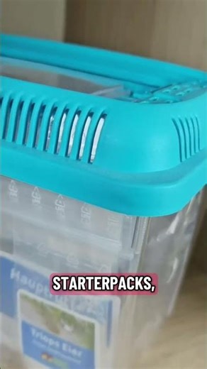 Everything you need for your Triops breeding 😍 🦐 👍 #triops #aquarium #seamonkeys #triopsgalaxy #T...